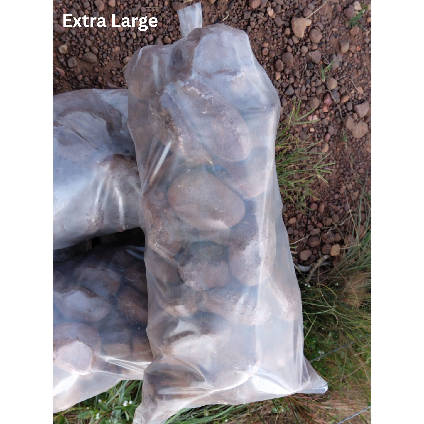 Brown Pebbles
