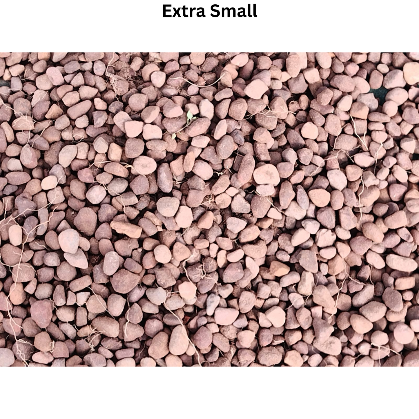Brown Pebbles
