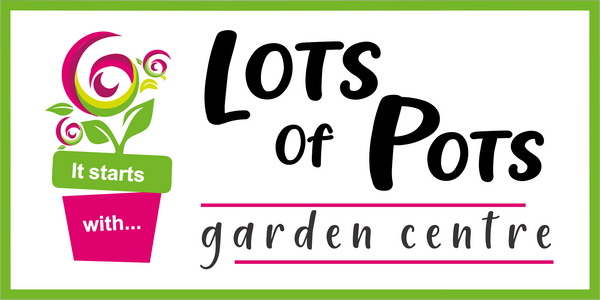 Lots of Pots Centurion