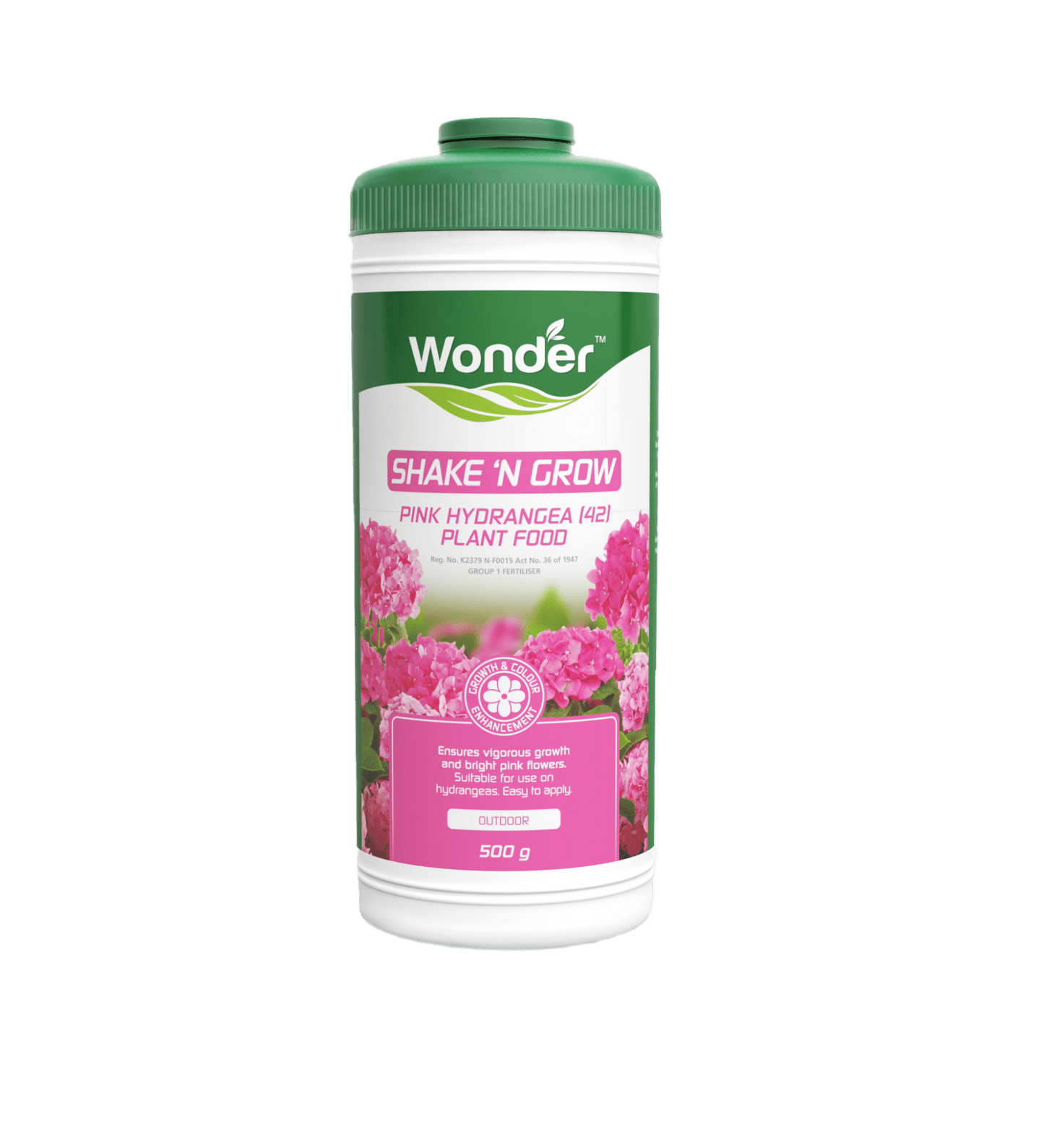 Shake and Grow Pink Hydrangea