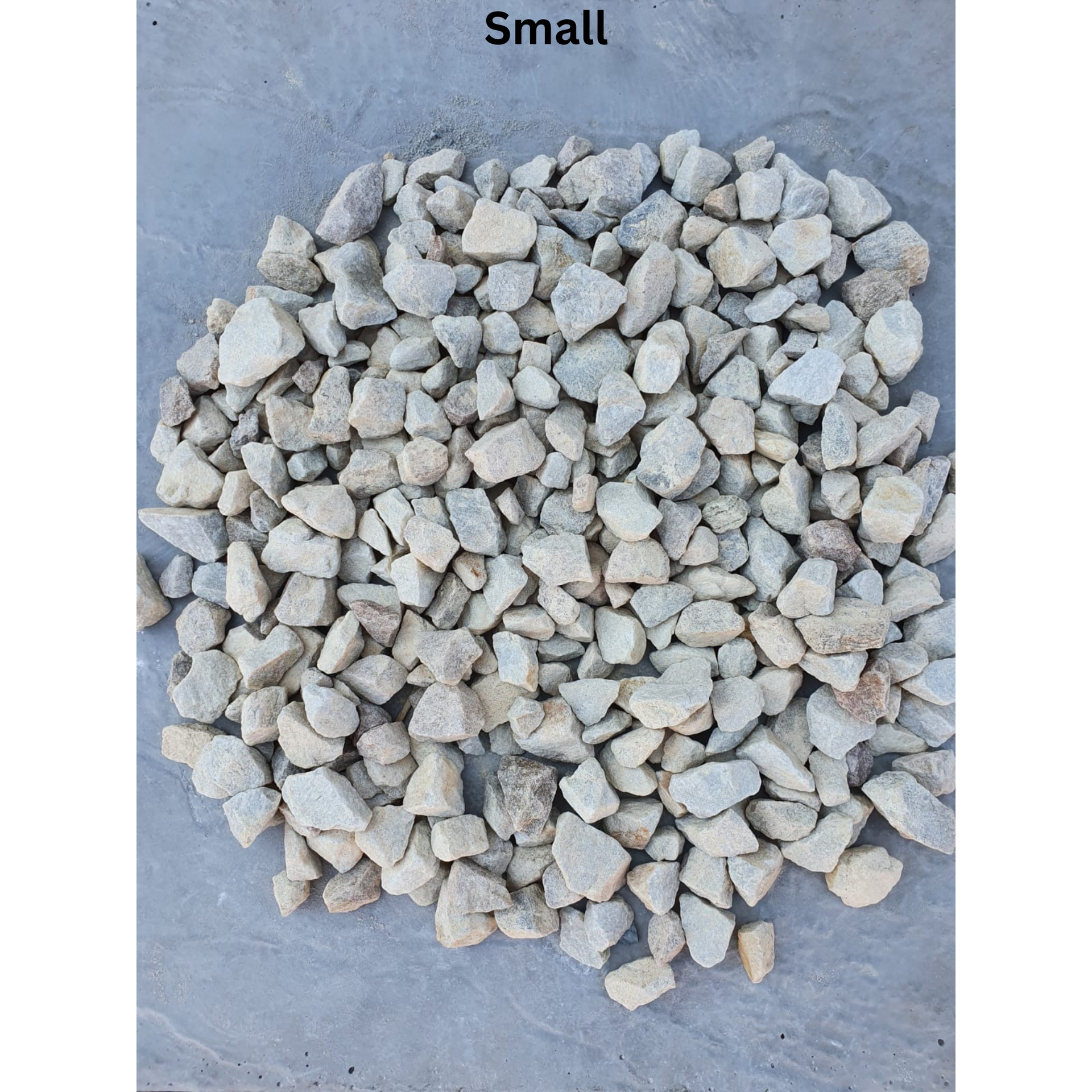 Champagne Dumb Rock – Lots of Pots Centurion