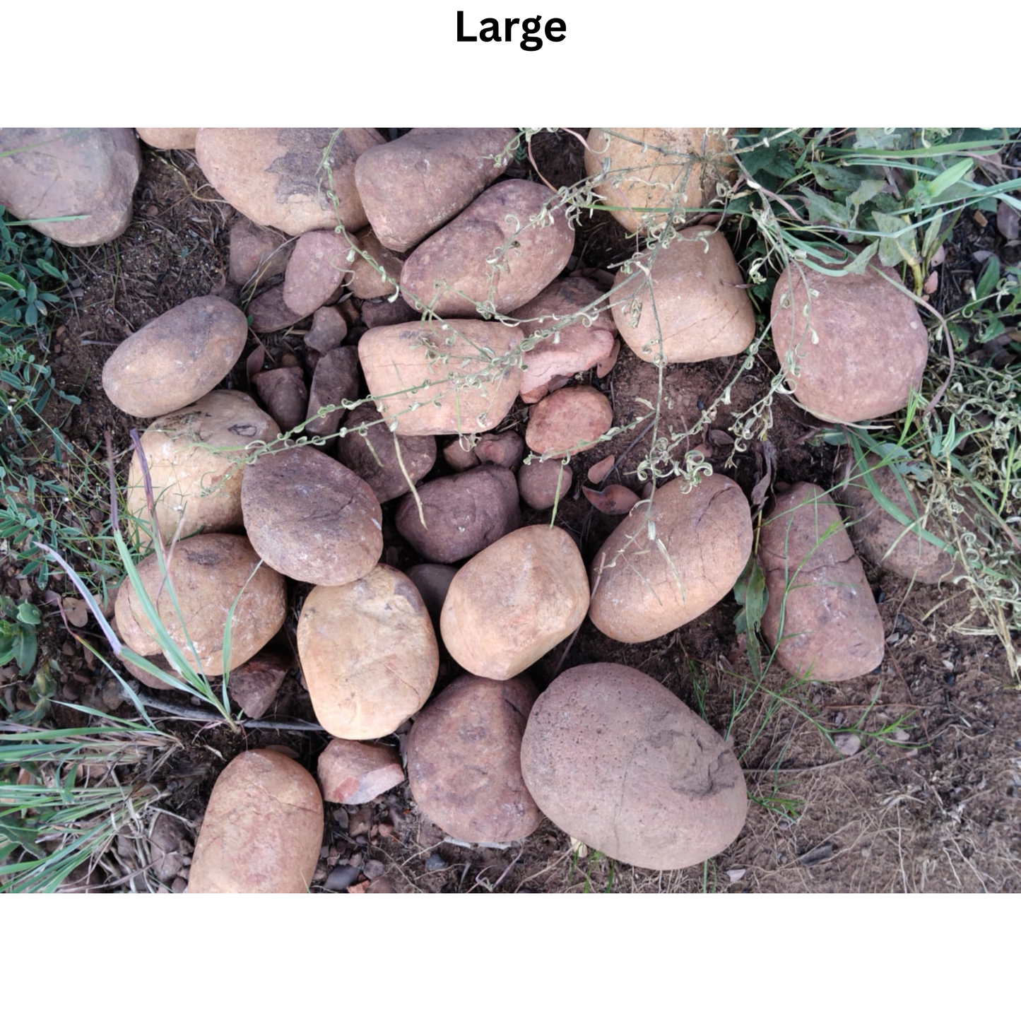 Brown Pebbles
