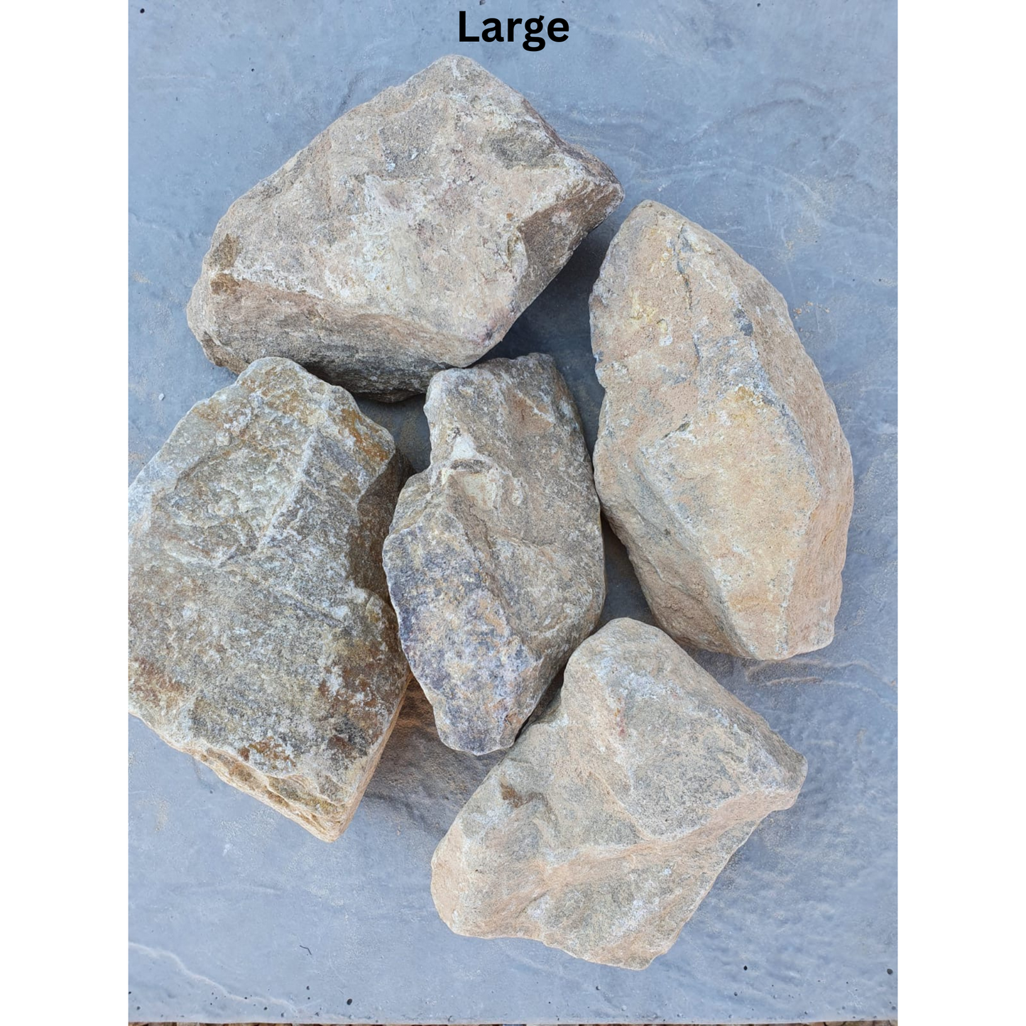 Champagne Dumb Rock