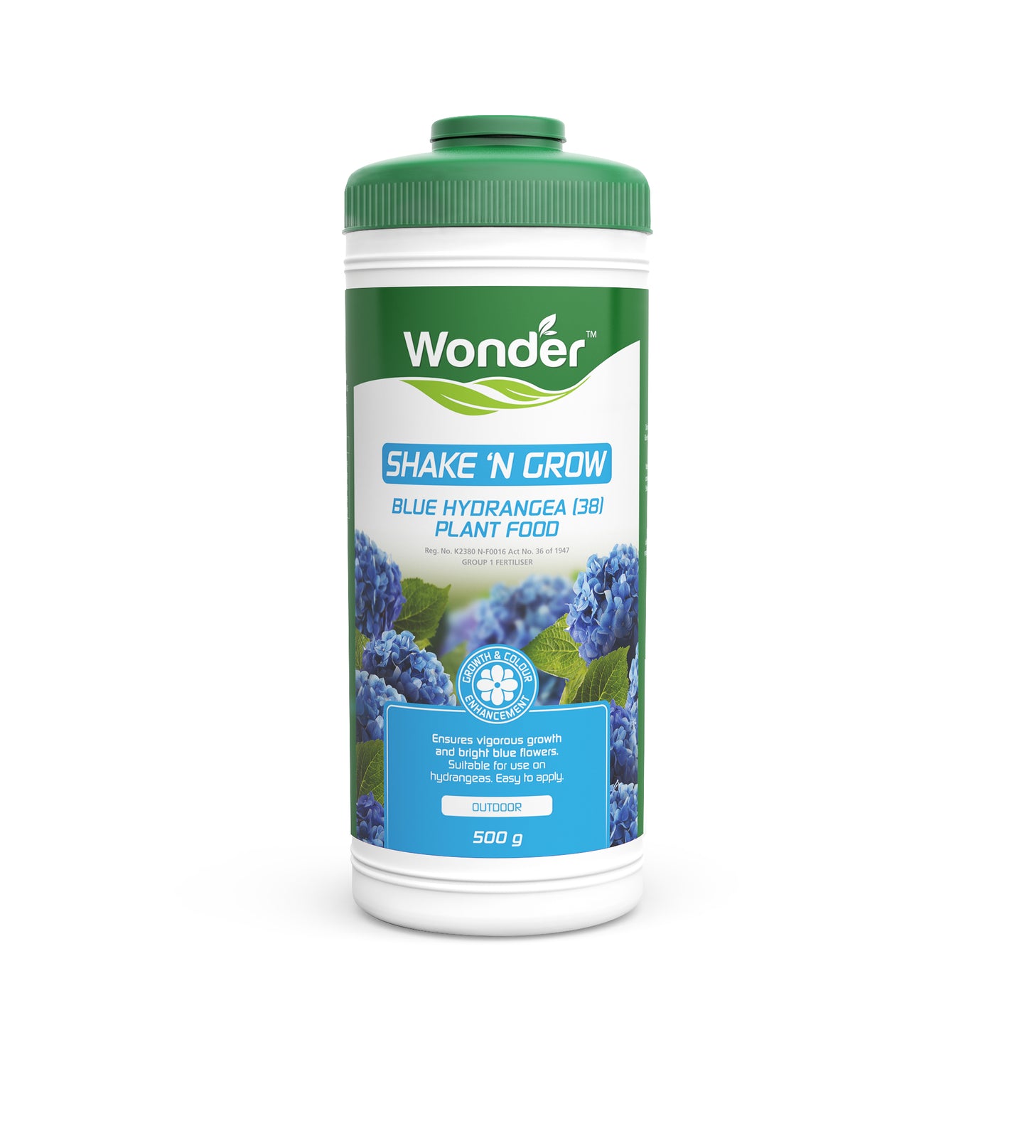Shake and Grow Blue Hydrangea
